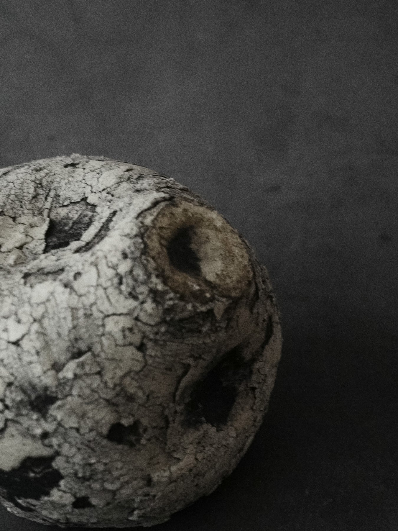 異へ練朽 | Otherness