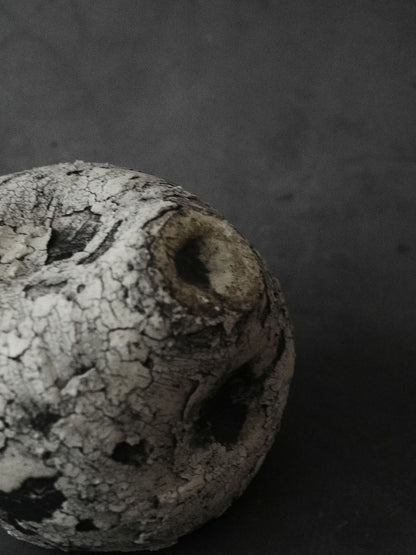 異へ練朽 | Otherness