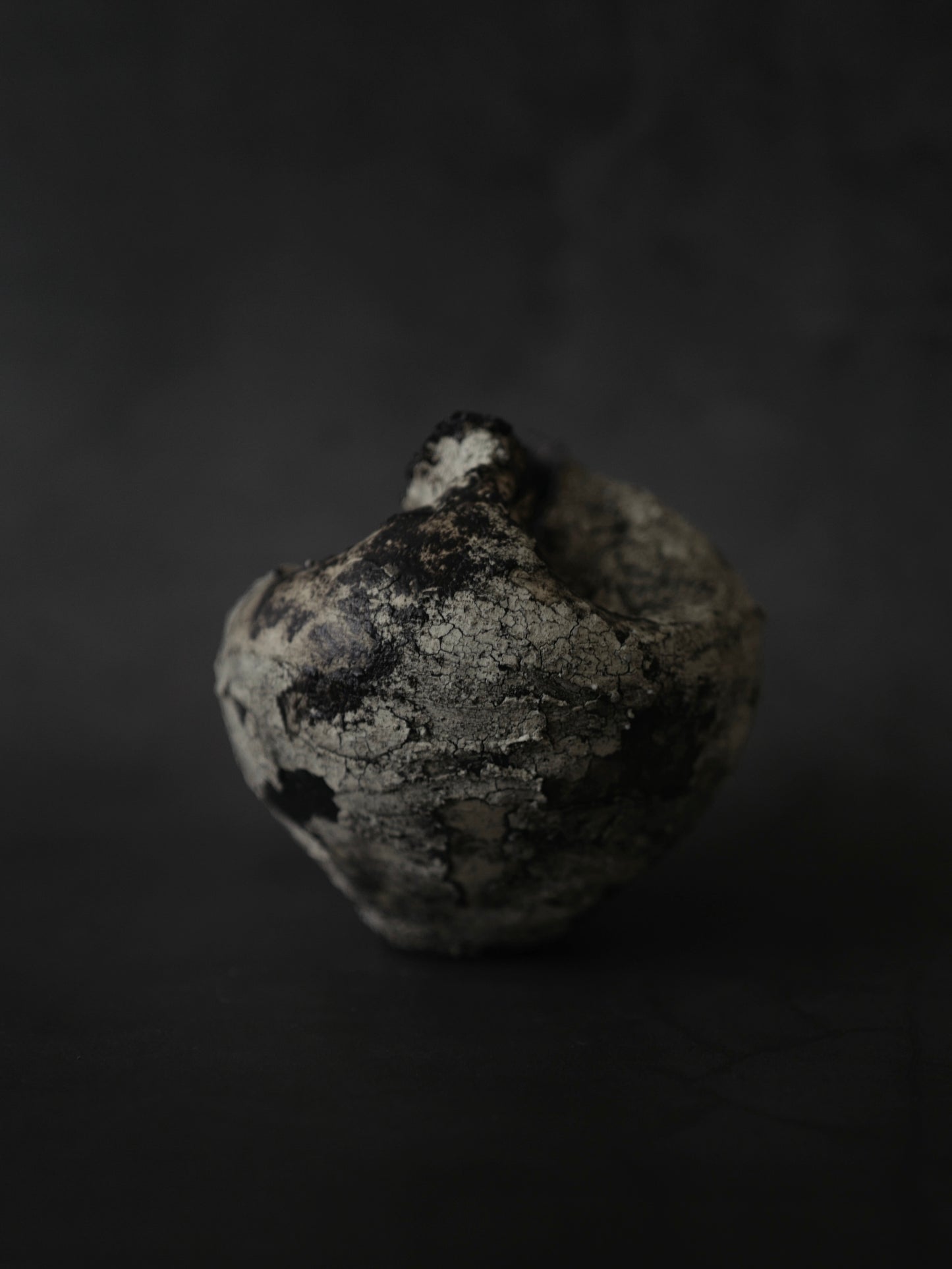 幻と月影 | Moonshadow