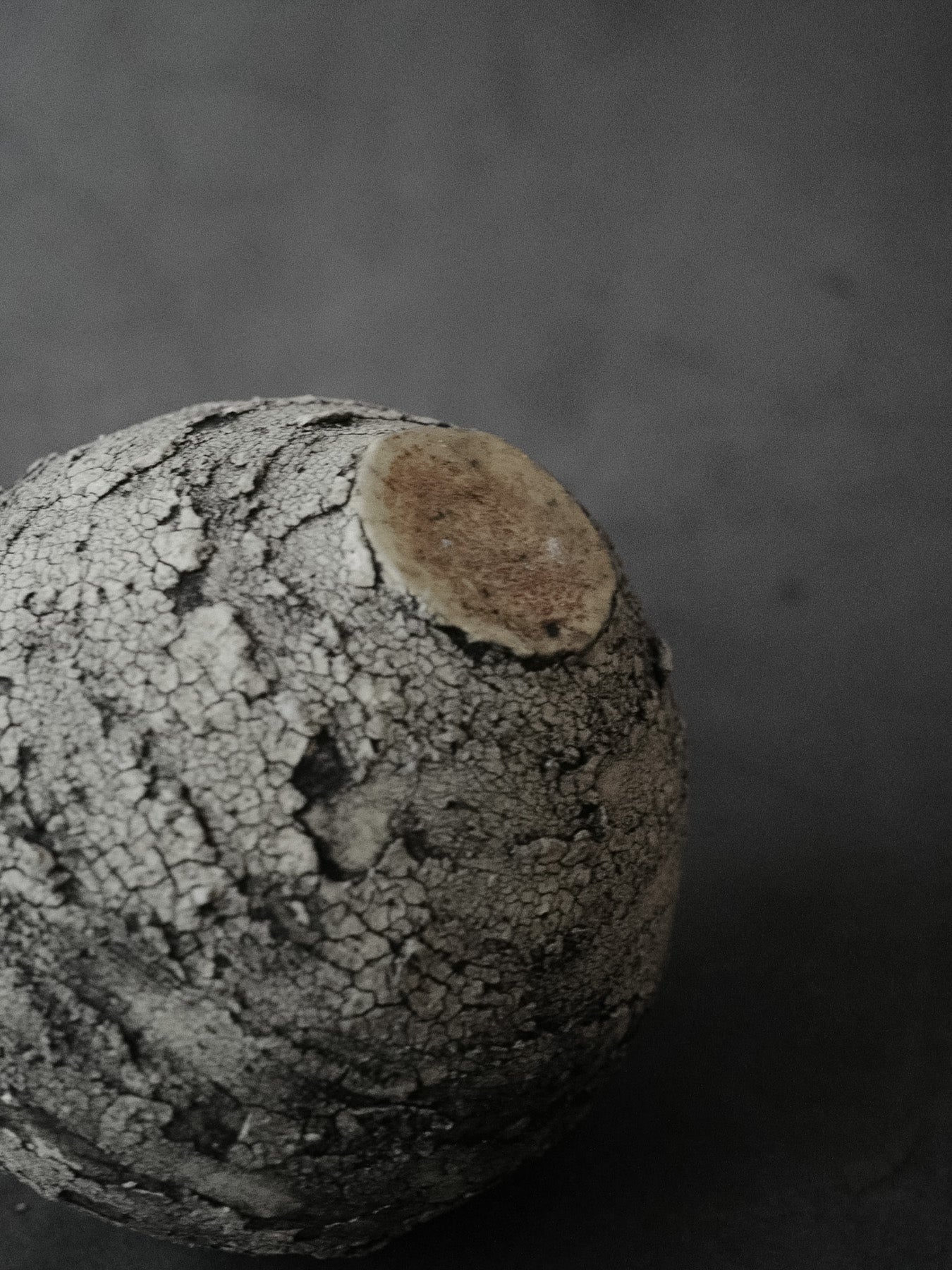 球対救 | Ecliptic