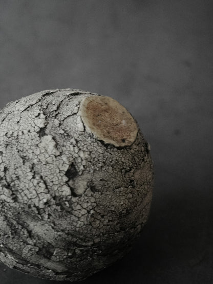 球対救 | Ecliptic