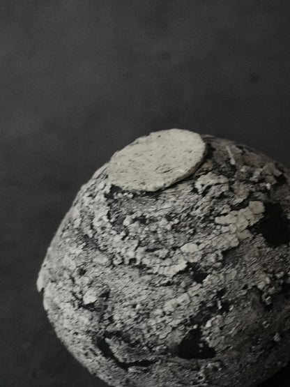 枯渇する繭 | De cocoon