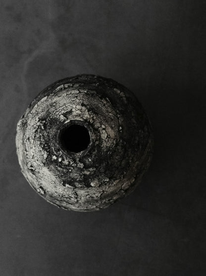 球対救 | Ecliptic