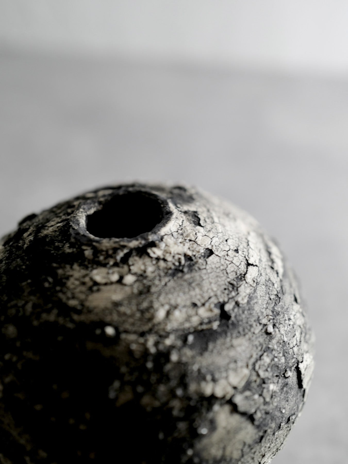 球対救 | Ecliptic