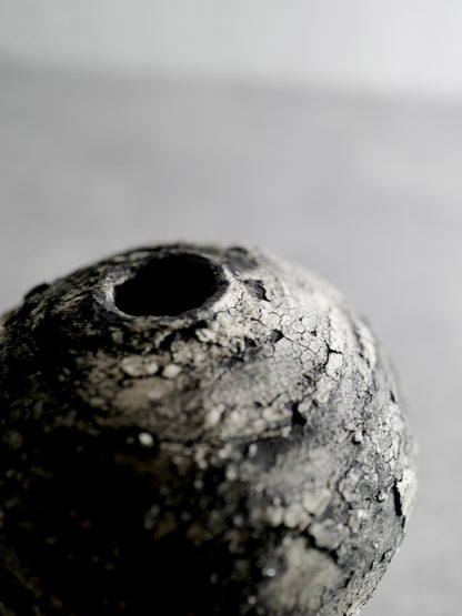 球対救 | Ecliptic